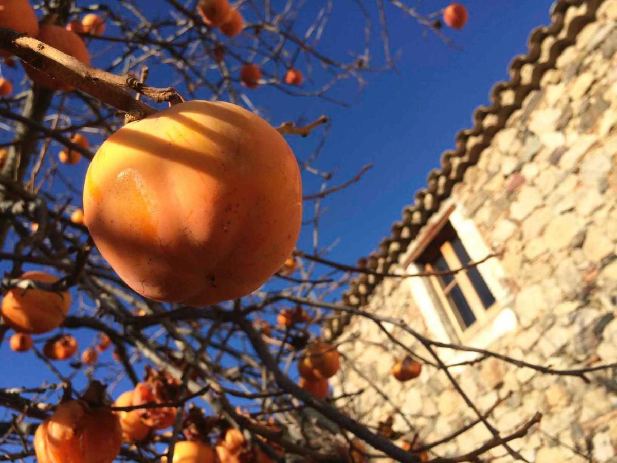 Masia De Vallforners Tagamanent 외부 사진
